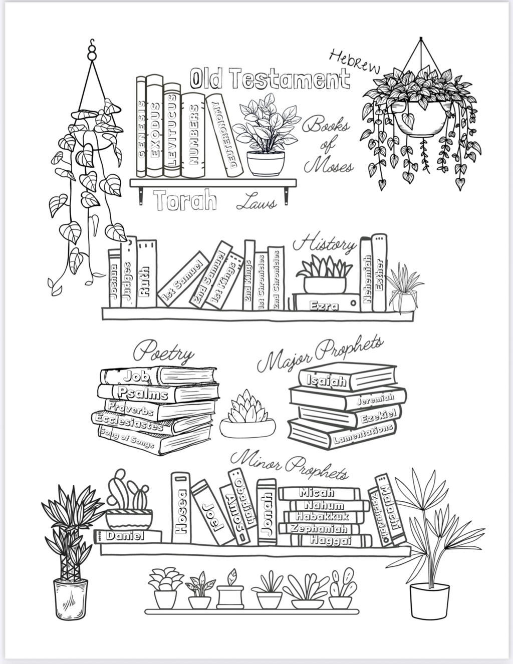 Bible Color Therapy - Coloring Book - Philippians