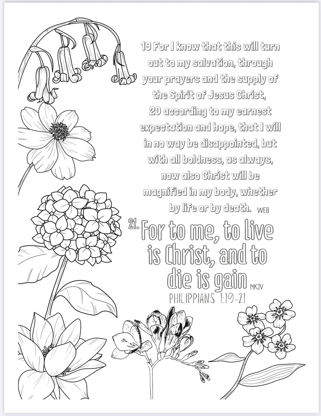Bible Color Therapy - Coloring Book - Philippians