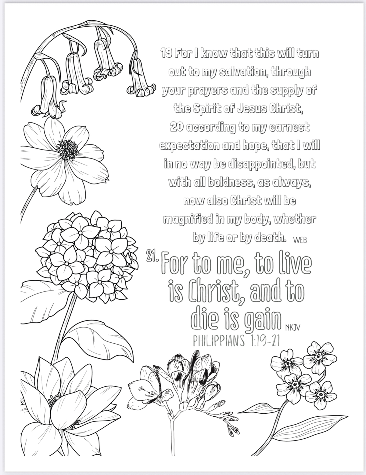 Bible Color Therapy - Coloring Book - Philippians